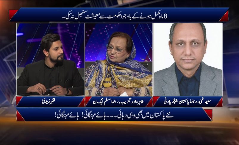 Opposition Parties on Public Reaction to Economic Problems