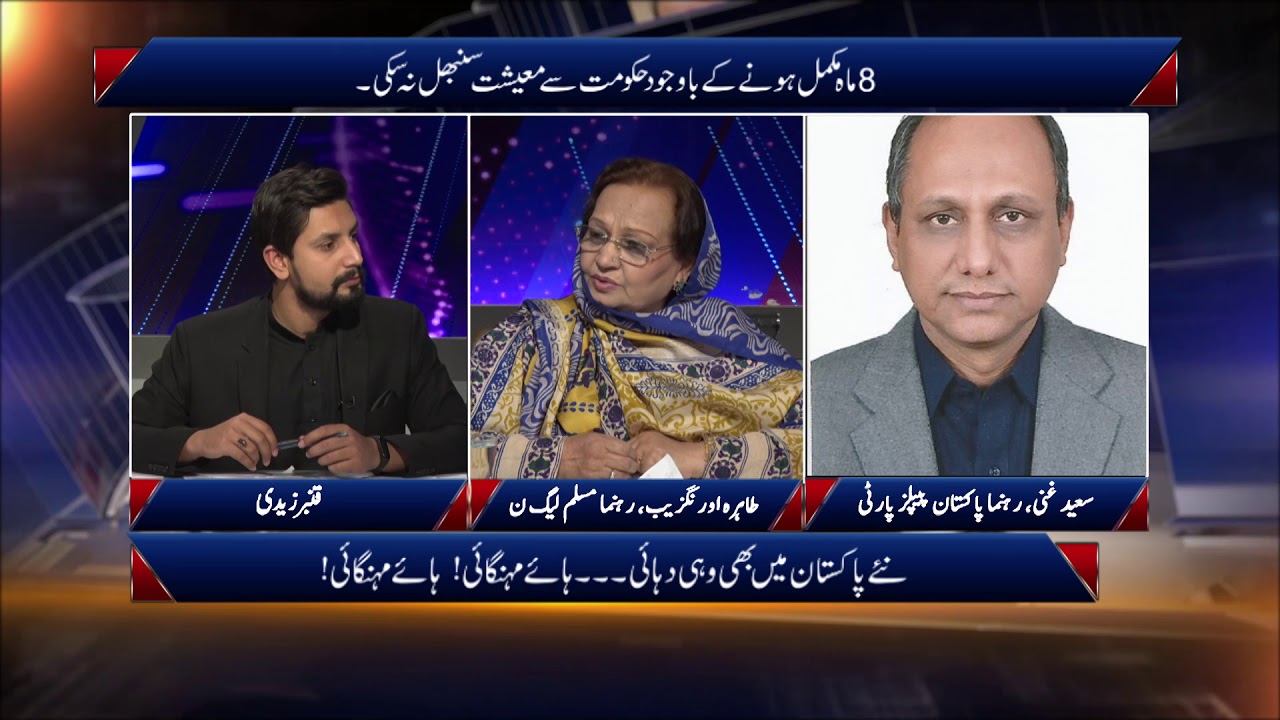 Opposition Parties on Public Reaction to Economic Problems