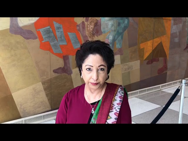 Statement of Permanent Representative of Pakistan at UN Amb Dr Maleeha Lodhi